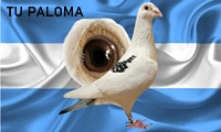 Tu Paloma